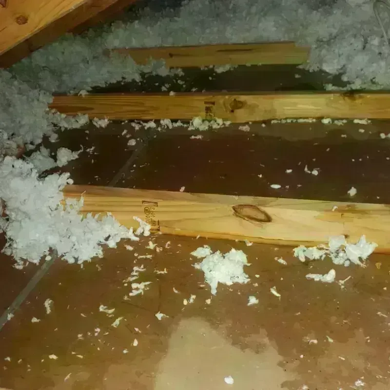 Attic Water Damage in New Territory, TX